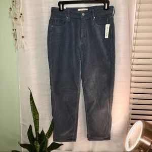 Mom jeans- PacSun Dusty blue corduroy